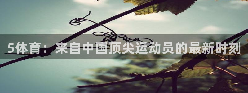 5体育：来自中国顶尖运动员的最新时刻