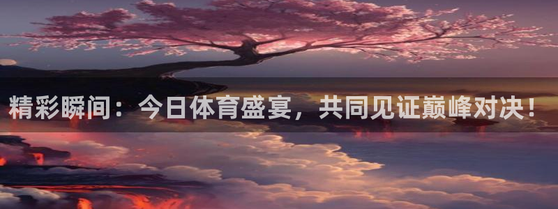 精彩瞬间：今日体育盛宴，共同见证巅峰对决！