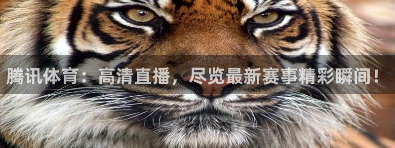 腾讯体育：高清直播，尽览最新赛事精彩瞬间！