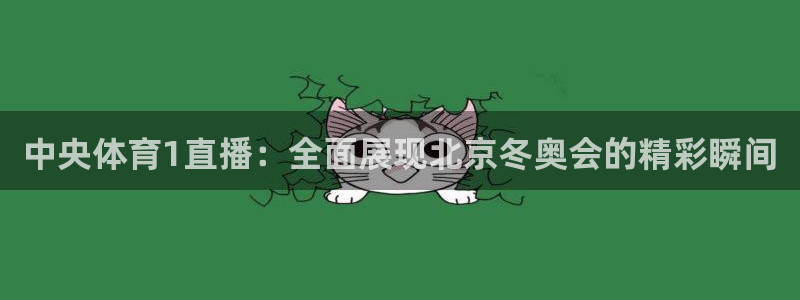 中央体育1直播：全面展现北京冬奥会的精彩瞬间