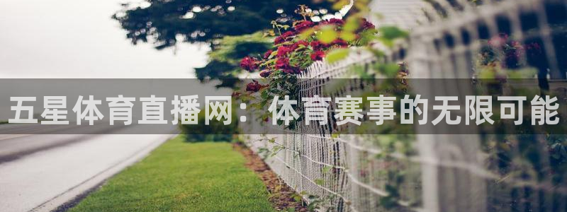 五星体育直播网：体育赛事的无限可能