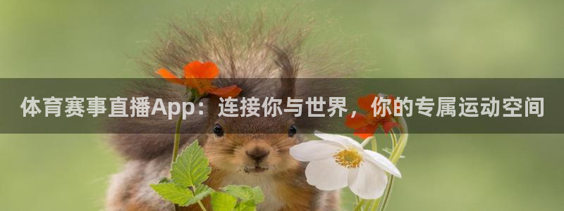 体育赛事直播App：连接你与世界，你的专属运动空间
