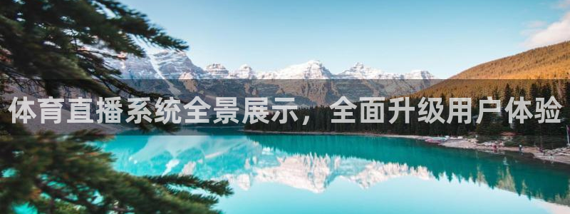 体育直播系统全景展示，全面升级用户体验