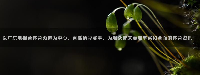 以广东电视台体育频道为中心，直播精彩赛事，为观众带来更加丰富和全面的体育资讯。