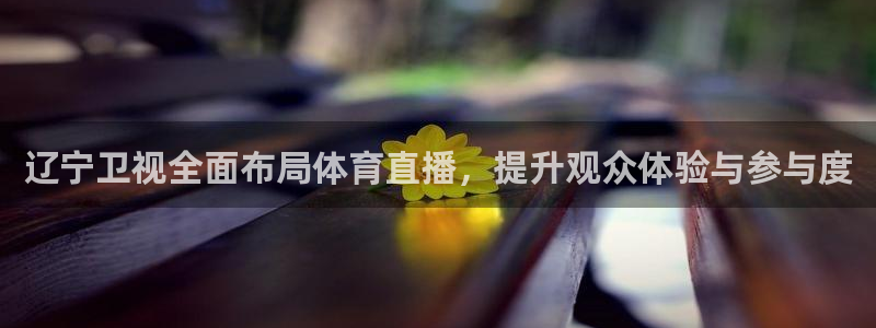 辽宁卫视全面布局体育直播，提升观众体验与参与度