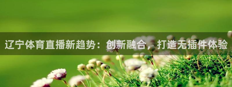 辽宁体育直播新趋势：创新融合，打造无插件体验
