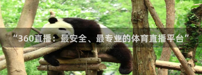 “360直播：最安全、最专业的体育直播平台”