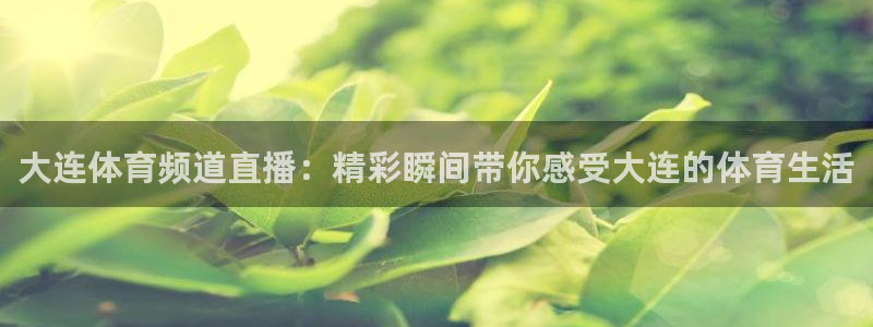 大连体育频道直播：精彩瞬间带你感受大连的体育生活