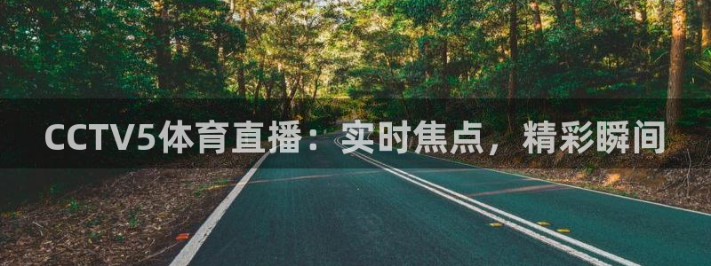 CCTV5体育直播：实时焦点，精彩瞬间