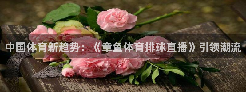 中国体育新趋势：《章鱼体育排球直播》引领潮流