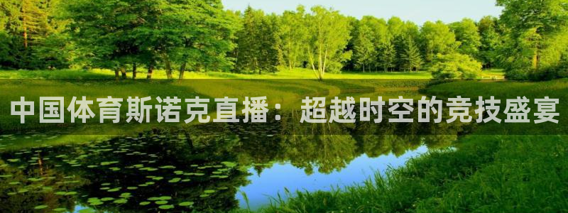 中国体育斯诺克直播：超越时空的竞技盛宴