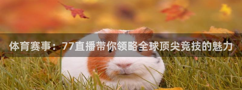 体育赛事：77直播带你领略全球顶尖竞技的魅力