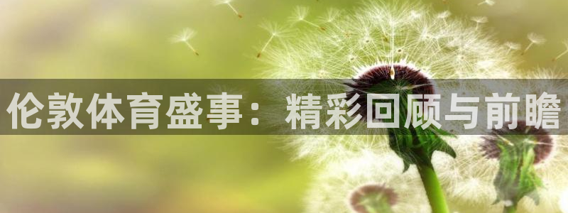 伦敦体育盛事：精彩回顾与前瞻