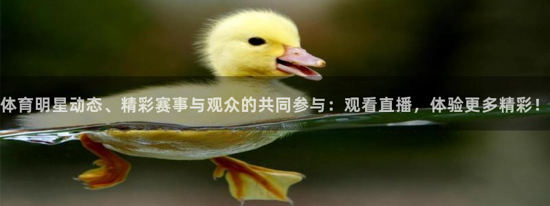 体育明星动态、精彩赛事与观众的共同参与：观看直播，体验更多精彩！