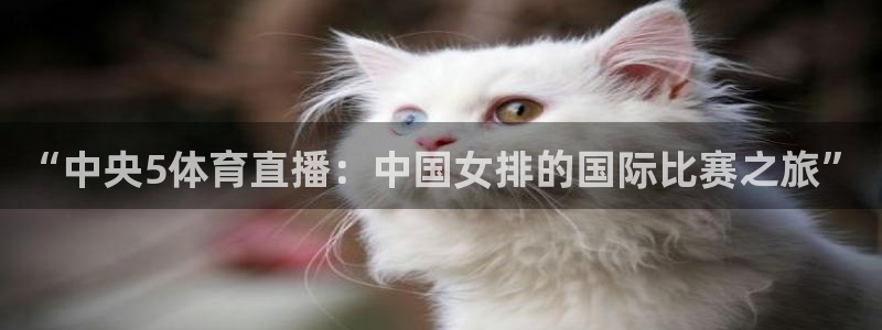 “中央5体育直播：中国女排的国际比赛之旅”