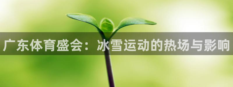 广东体育盛会：冰雪运动的热场与影响