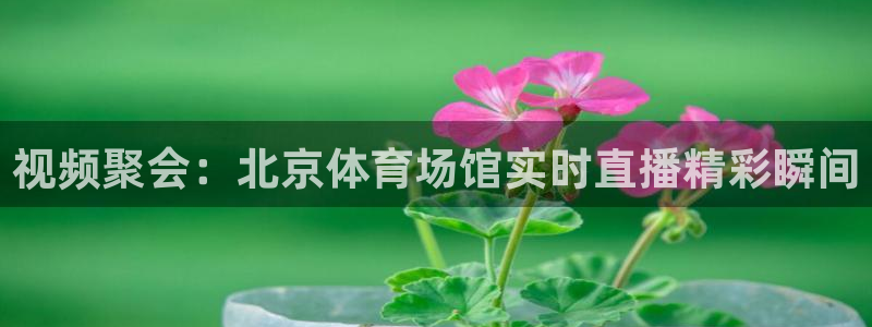 视频聚会：北京体育场馆实时直播精彩瞬间
