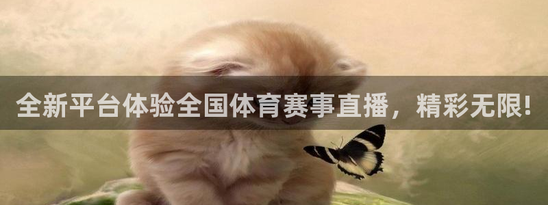 全新平台体验全国体育赛事直播，精彩无限!