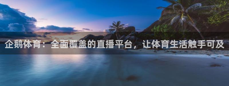 企鹅体育：全面覆盖的直播平台，让体育生活触手可及