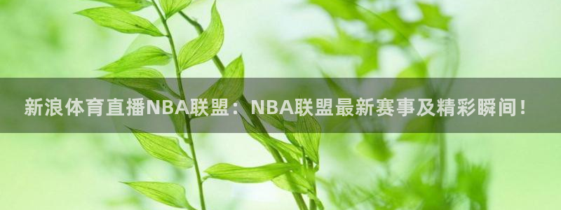 新浪体育直播NBA联盟：NBA联盟最新赛事及精彩瞬间！
