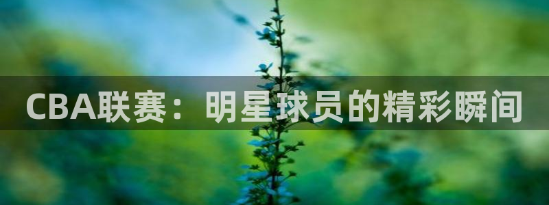 CBA联赛：明星球员的精彩瞬间
